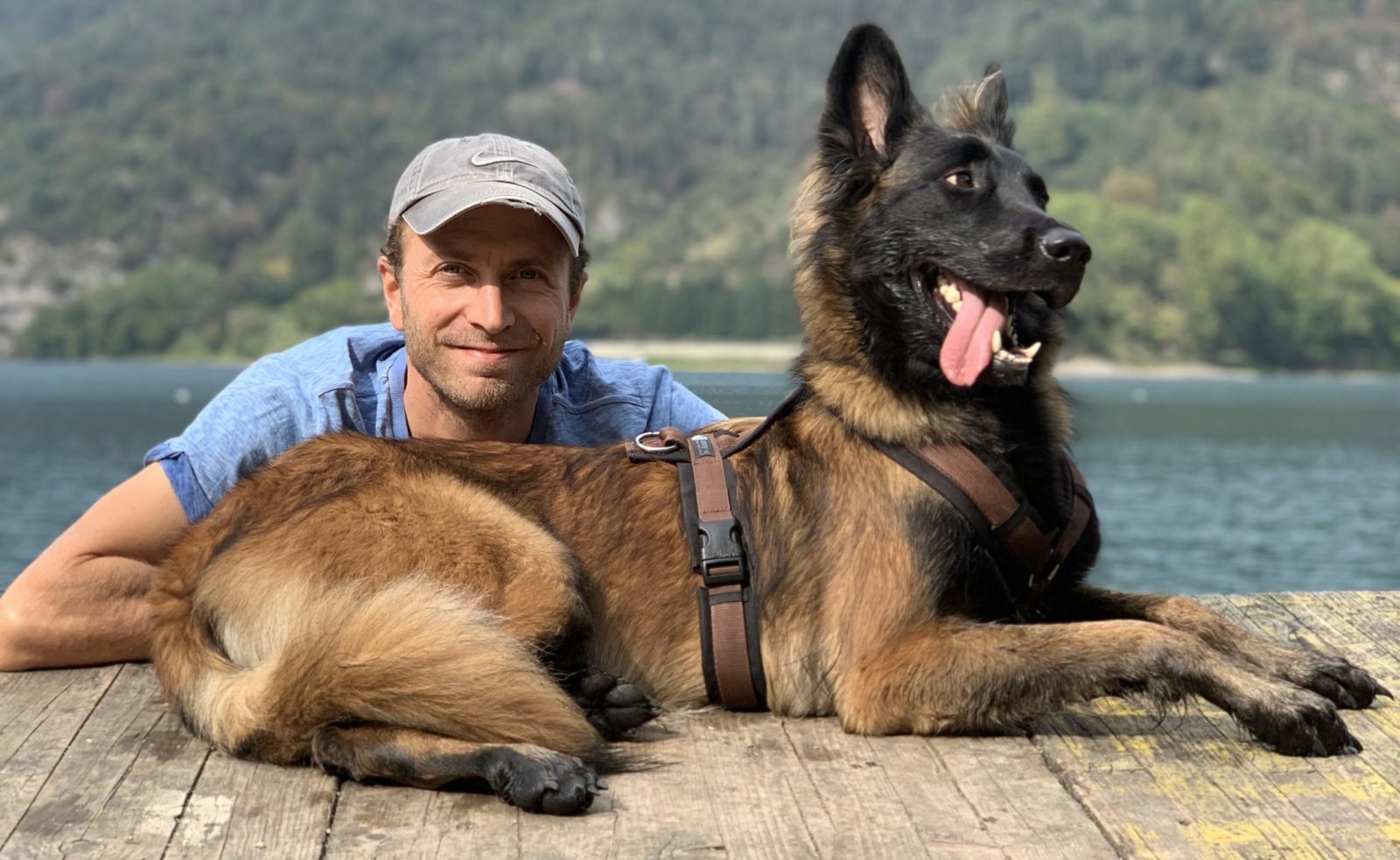 hundetraining krefeld düsseldorf